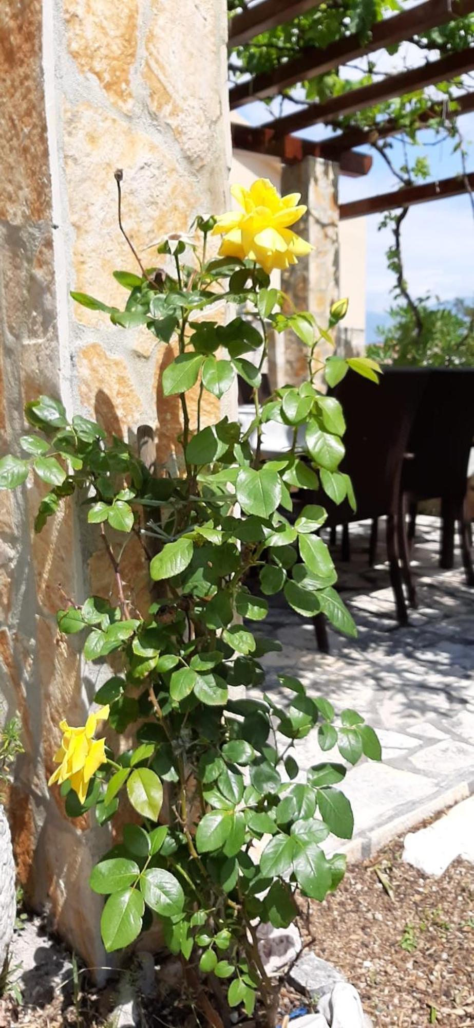 Apartmani Presecki Pag Town Kültér fotó